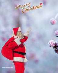 Hd christmas editing background