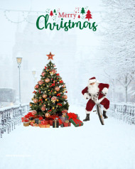 Hd christmas tree editing background