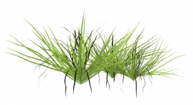 Hd grass png picsart