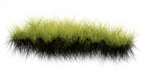 Hd grass transparent png