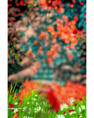 Hd HD CB Editing Background