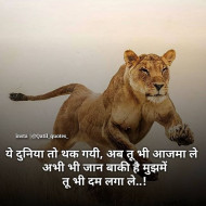 Hd Image  Attitude Status  (5)