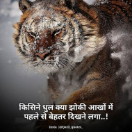 Hd Image  Attitude Status  (9)