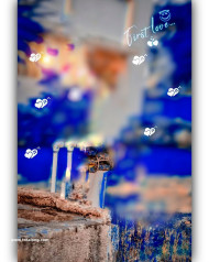 Hd photoshop cb editing background