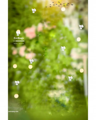 Hd snapseed cb editing background