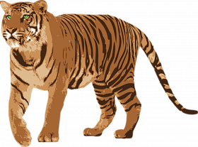 Hd Tiger Transparent Background umg