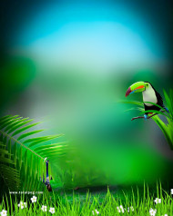 Hd totalpng cb editing background