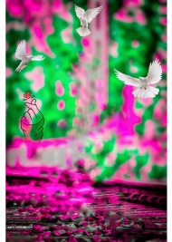 Hd Trending cb editing background snapseed