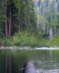 Hd viral editing Backgrounds