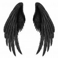 Hd wing png download
