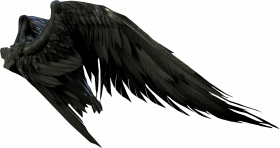 Hd wing png download