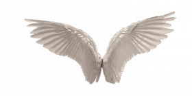 Hd wing png download  (3)