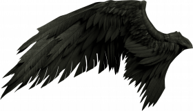 Hd wing png download  (3)