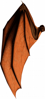 Hd wing png download