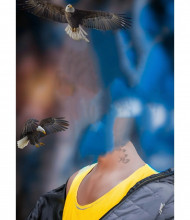 Head cut hd cb editing background