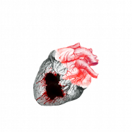 Heart blood Hd png