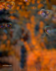 Heart bubble cb editing background