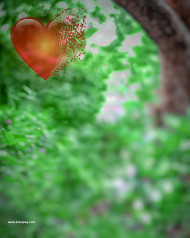 Heart lost hd cb editing background