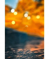 Heavy Blur Cb Background Bokeh Effect For Picsart Manipulation Editing