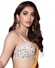 Hegdepooja Hd Png Download (5)
