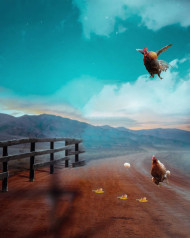 Hen editing background    Head cut hen editing background (2)