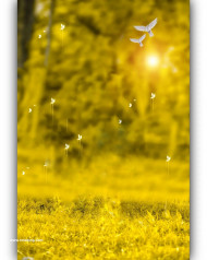 High blur cb editing background