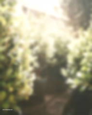 High blur hd cb editing background (2)