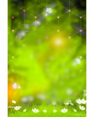 High blur photoshop cb editing background