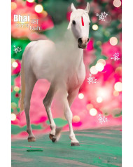 Horse cb backgrounds by totalpng