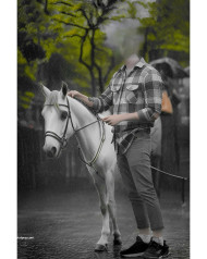 Horse Cb Model Background Head Cut Face Editing Hd Download