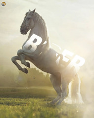 Horse Editing Background Download