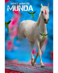 Horse hd cb editing background