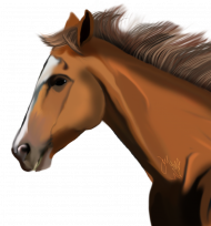 Horse head png