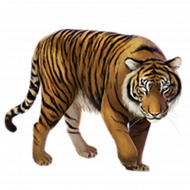 Huge item blind tiger 01 copy