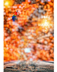 Hum 2 hamare 2 cb background for editing