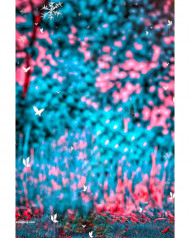 Insta editor cb backgrounds,cb editing background Snapseed