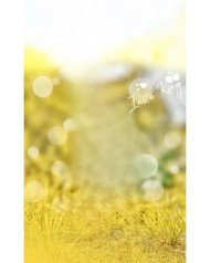 Insta king background for editing