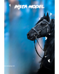 Insta model 1500  CB Background HD 2023 For Photo Editing