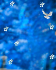 insta trend cb editing background