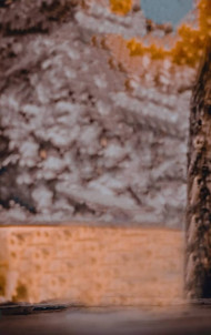 Instagram backgrounds