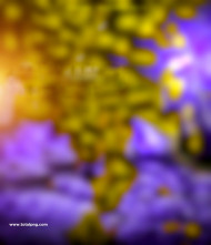 Instagram hd cb background for editing