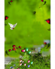 Instagram hd cb editing background