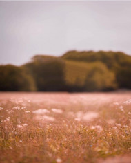 Instagram lightroom cb editing background (2)