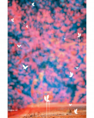 Instgram hd cb editing background