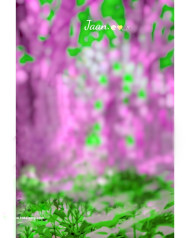 Jaan cb editing background hd