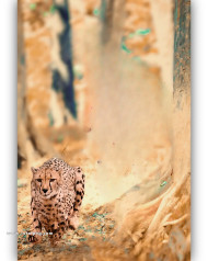 Jaguar cb background by totalpng