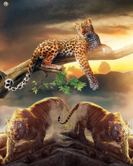 jaguar hd editing background