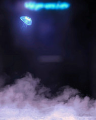Jelly fish Editing background