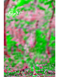 Jigari blur cb editing background snapseed