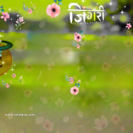Jigari flowers cb background